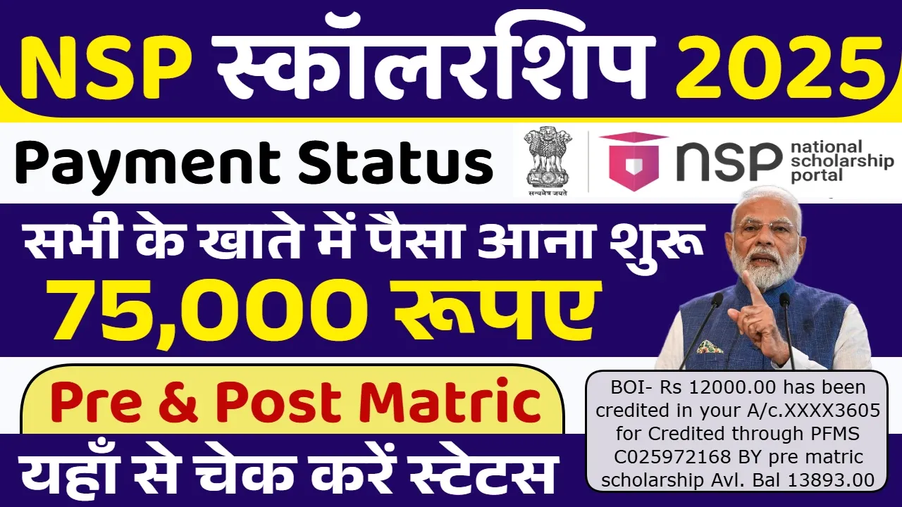 NSP Scholarship Payment Status