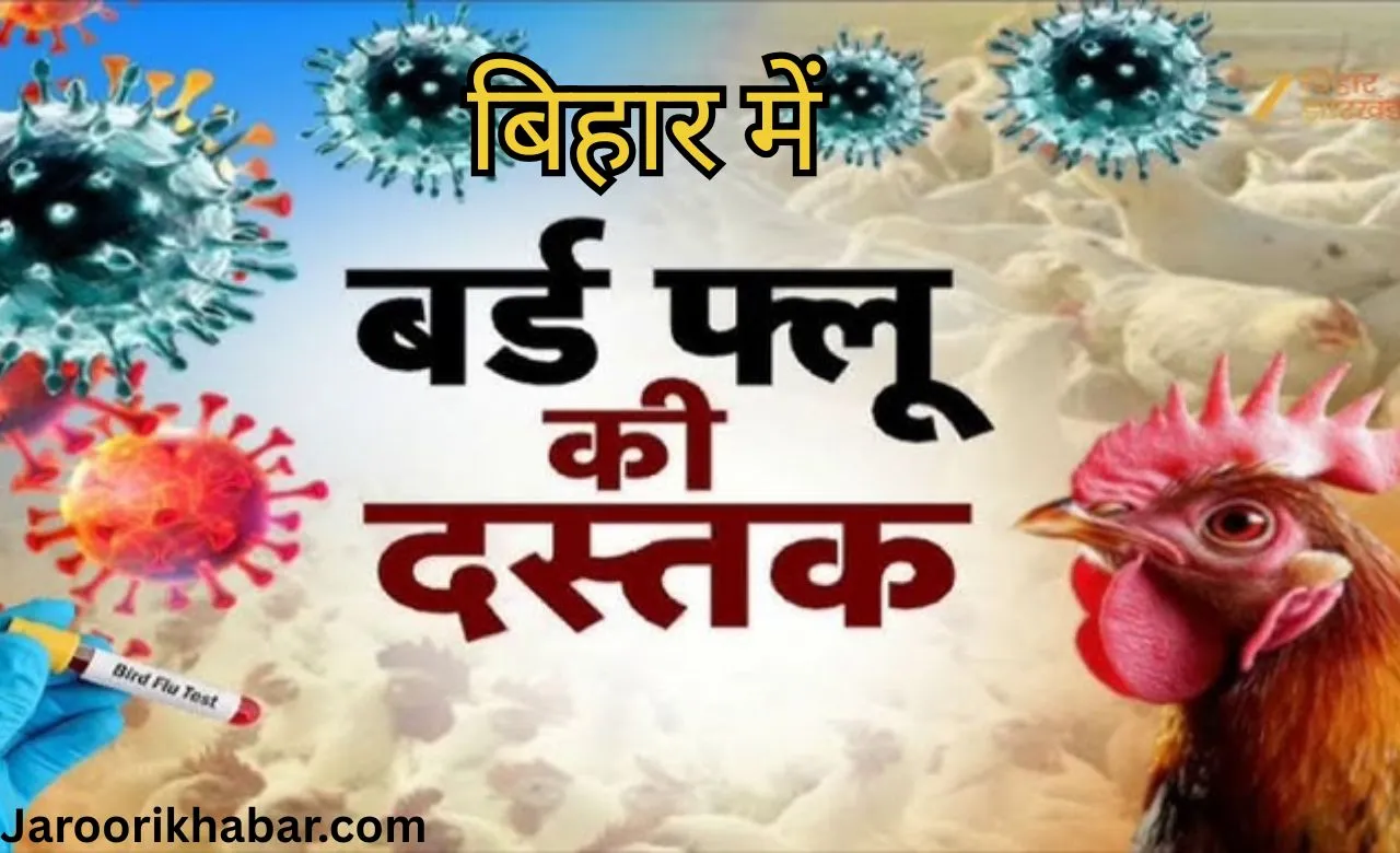 Bihar Mein Bird Flu Ka Kahar